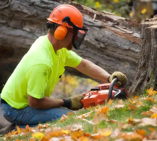 tree services Belle Rose